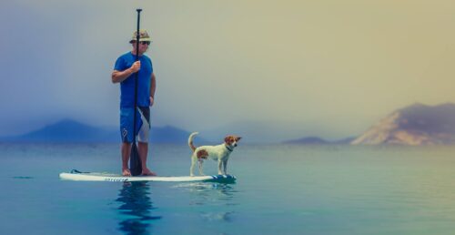 Practicar paddle surf con mascotas