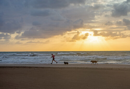 Paddle Surf en Valencia