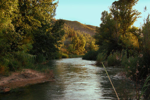 Practicar Paddle Surf River en Valencia