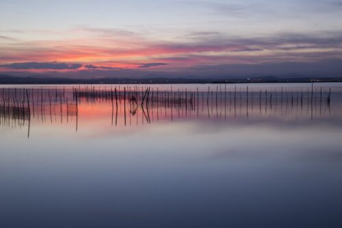 SUP en la Albufera