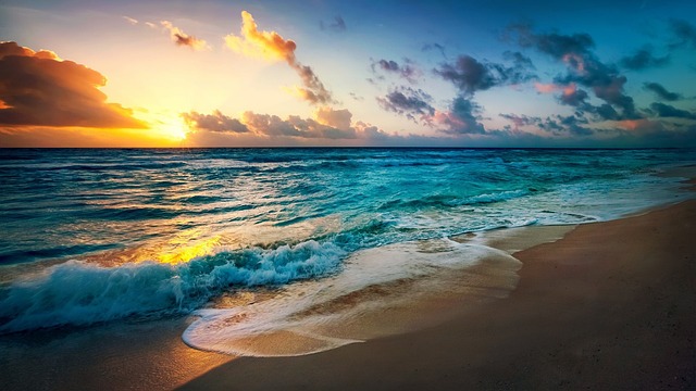 Descubre la mejor época para visitar Sri Lanka y disfruta al máximo tu viaje
