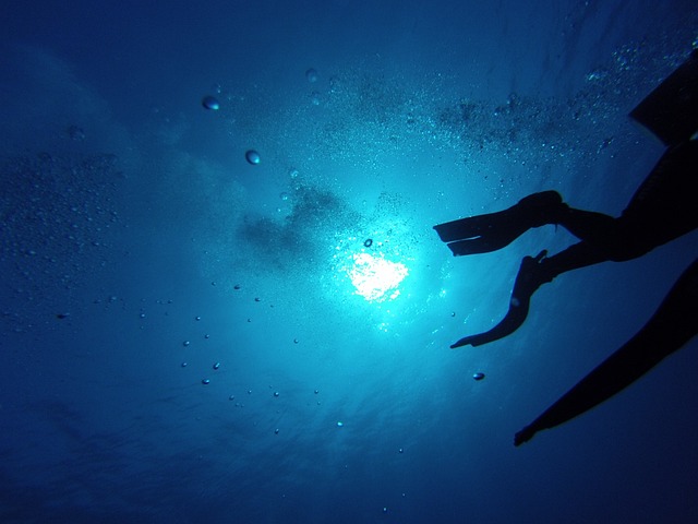 Descubre la función esencial del snorkel en tus aventuras acuáticas Descubre la función esencial del snorkel en tus aventuras acuáticas