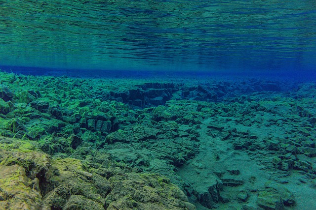 Descubre la mejor zona sin viento para practicar deportes acuáticos en Fuerteventura